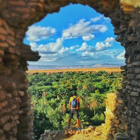 Kasbah Tiriguioute Hotel Skoura Ngoại thất bức ảnh