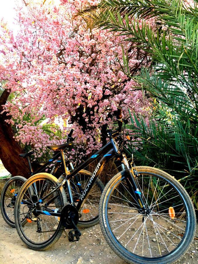 Kasbah Tiriguioute Hotel Skoura Ngoại thất bức ảnh
