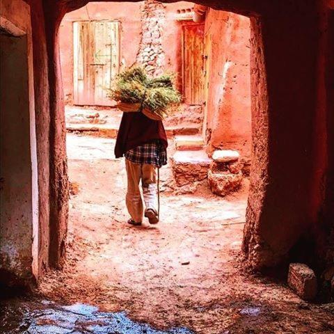 Kasbah Tiriguioute Hotel Skoura Ngoại thất bức ảnh