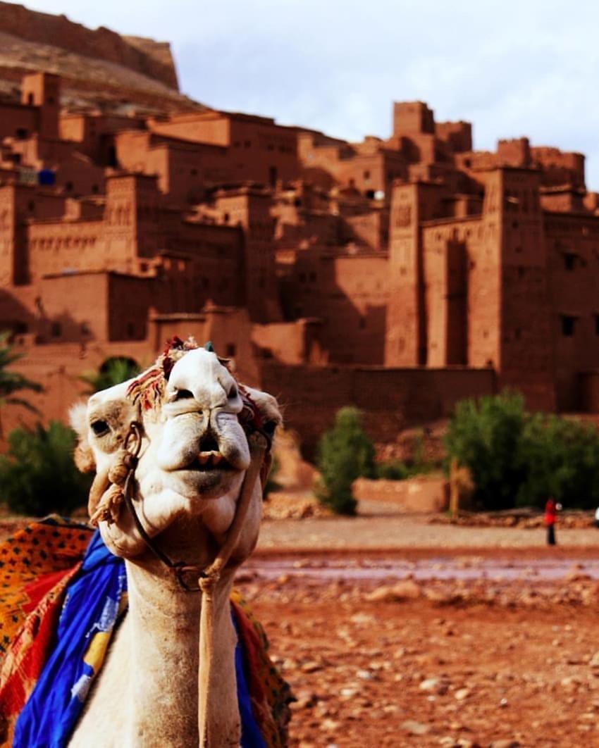 Kasbah Tiriguioute Hotel Skoura Ngoại thất bức ảnh